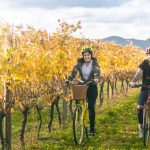 autumn couple biking vines Brancott Estate (4)